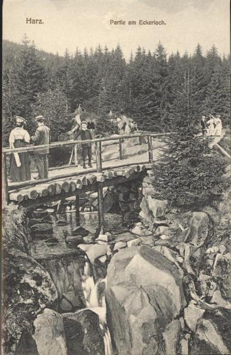 Brocken Harz Eckerloch Brücke