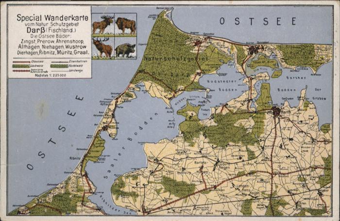 Darss Region Ostsee Spezial-Wanderkarte