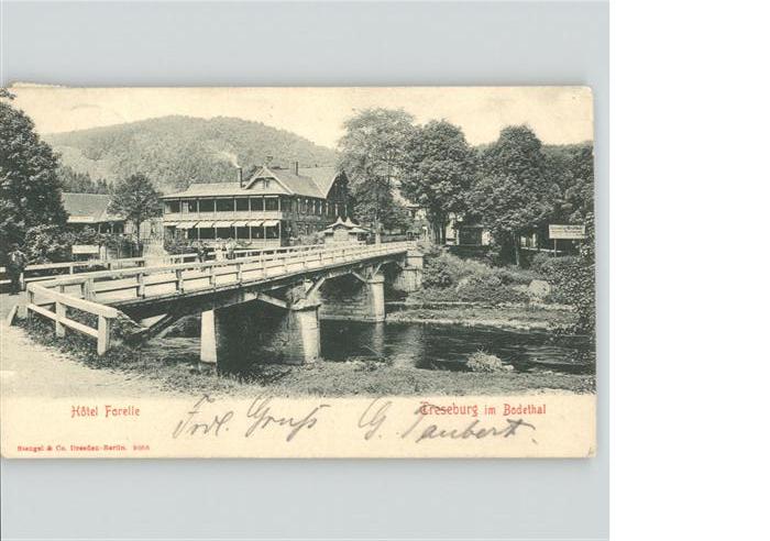 Ilsenburg Harz Hotel Forelle Brücke