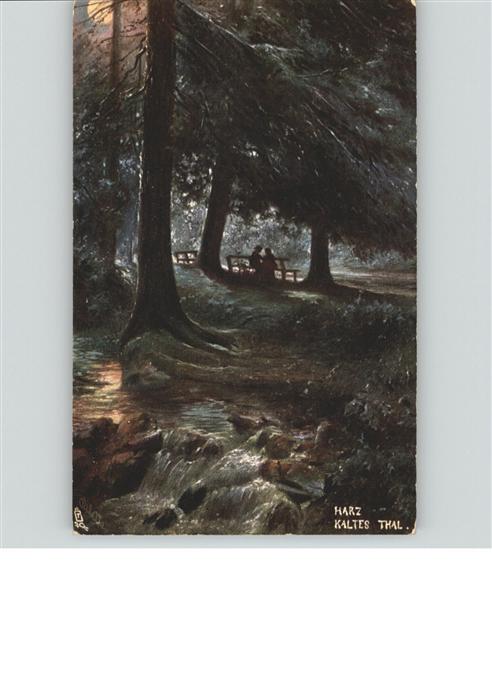 Ruebeland Harz [?] Kaltes Tal