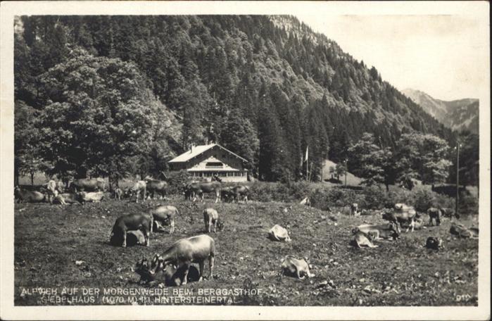 Hinterstein Bad Hindelang Kühe Berg Gasthof Glebelhaus