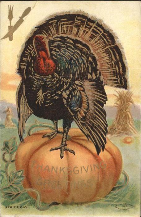 Erntedankfest Truthahn Geflügel Kürbis