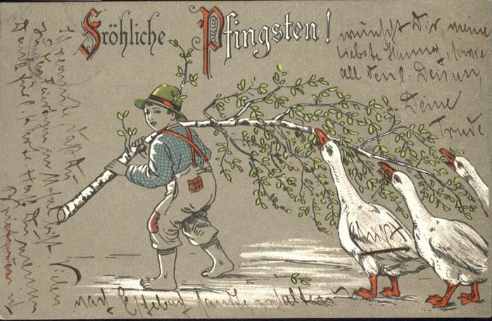 Pfingsten Pentecost Pentecote Enten