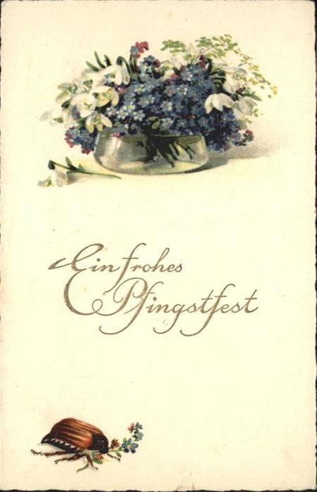 Maikaefer Cockchafer Hanneton Pfingsten