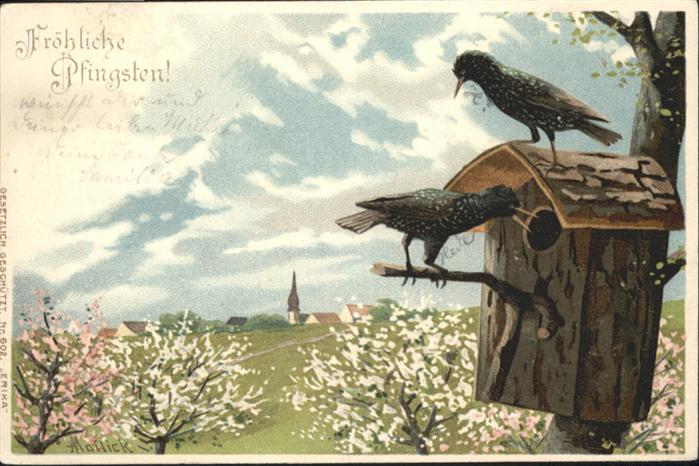 Voegel Birds Oiseaux Uccelli Pajaros-- Pfingsten Vogelhaus