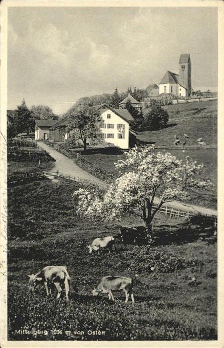 Mittelberg Oy