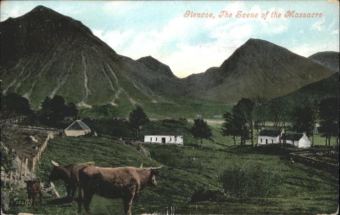 Glencoe Kuehe
