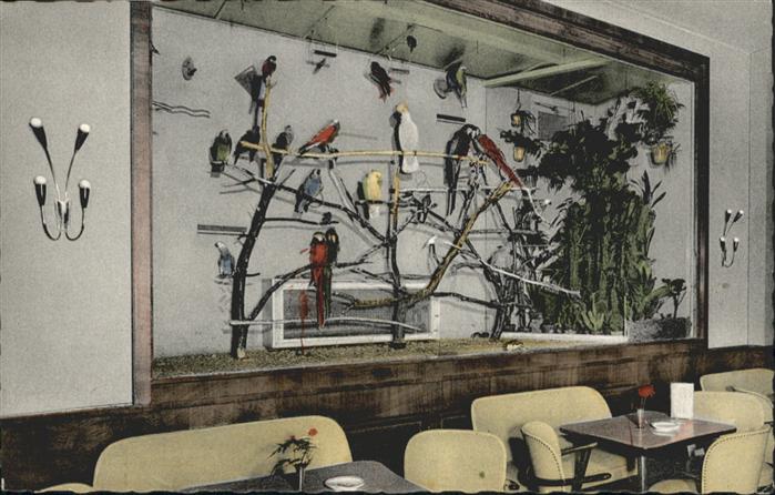 Koeln Rhein Konditorei Cafe Lemm Papagei