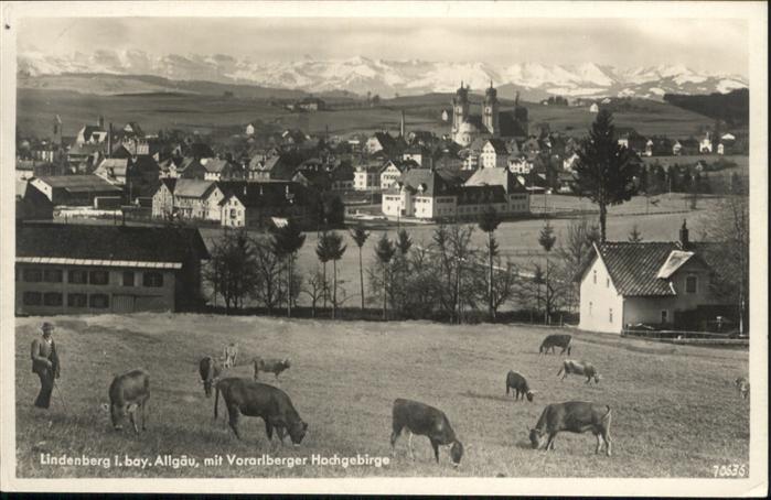 Lindenberg Allgaeu Kühe