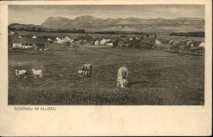Schoenau Gruenenbach Kühe Schafe