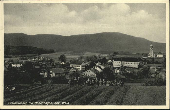 Grafenwiesen Hohenbogen