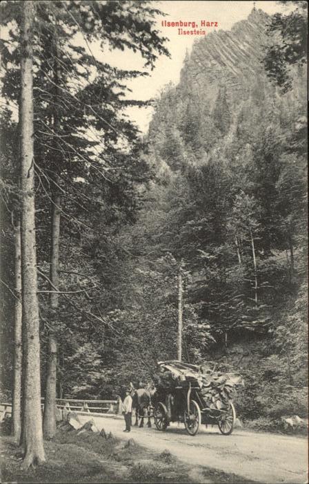 Ilsenburg Harz Ilsestein Pferdekutsche