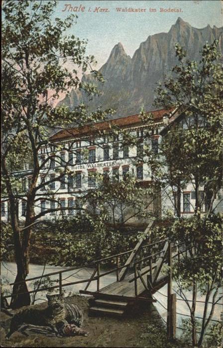 Thale Harz Hotel Waldkater Bodetal