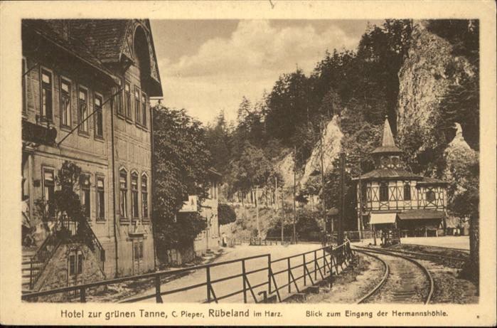 Ruebeland Harz Hotel zur grünen Tanne