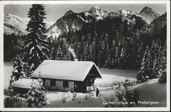 Freiberg Freibergsee Carben Haus