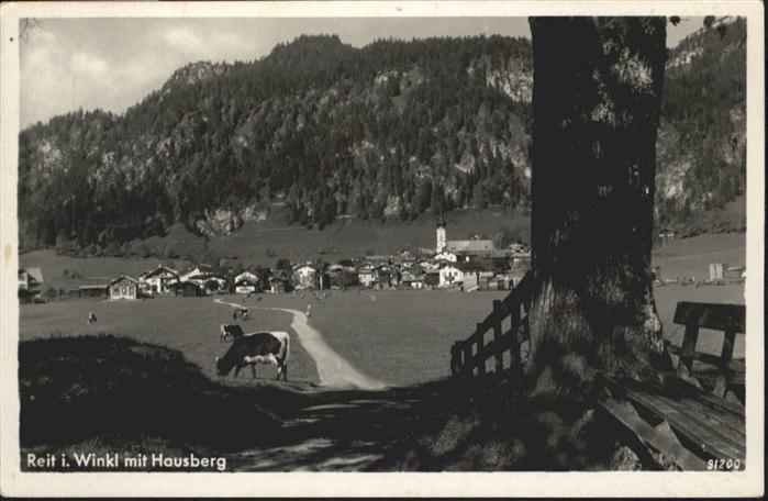Reit Winkl Hausberg Kühe