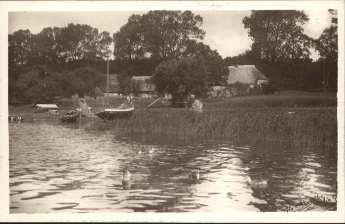 Sellin Ruegen Selliner See Enten