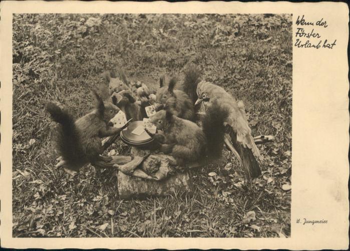 Kartenspiel-Postkarte Eichhörnchen vermenschlicht Humor