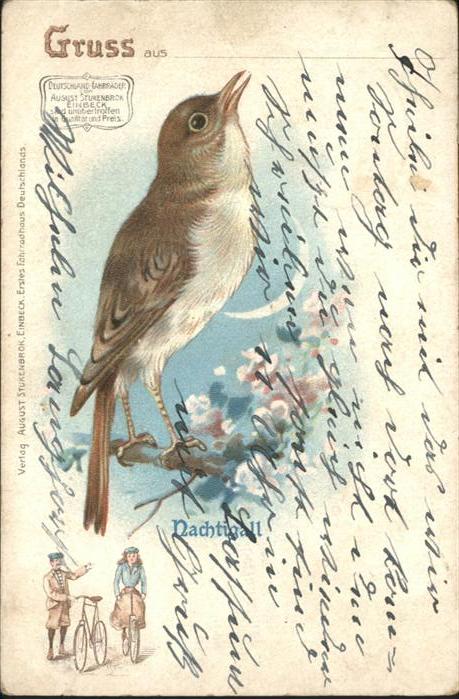 Voegel Birds Oiseaux Uccelli Pajaros-- Nachtigall Fahrrad