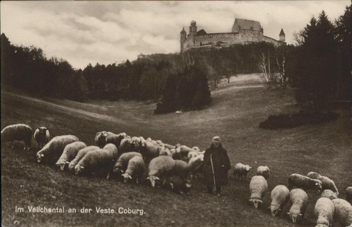 Coburg Bayern Veilchental Veste Coburg Schafe Hirte