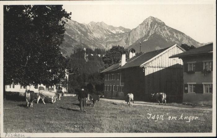 Fischen Allgaeu Anger