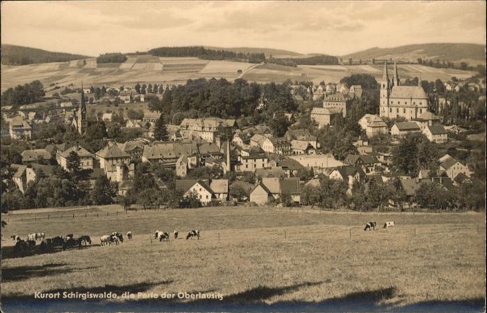 Schirgiswalde Kühe Kirche