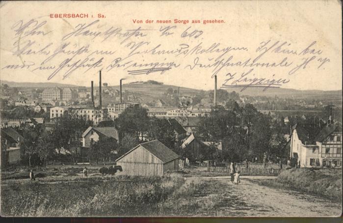 Ebersbach Sachsen Pferd