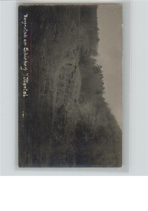 Schinberg bei Ittental Bergrutsch