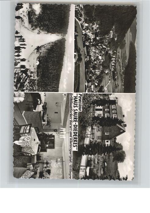 Willingen Sauerland Pension Haus Saure Diederkes Schanze