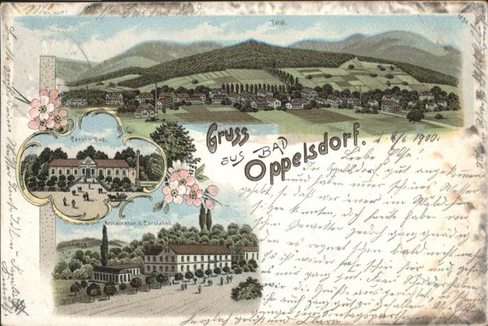 Bad Oppelsdorf Opolno Zdroj Bad_Oppelsdorf Carolabad Restauration C