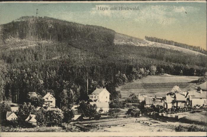 Hayn Hochwald