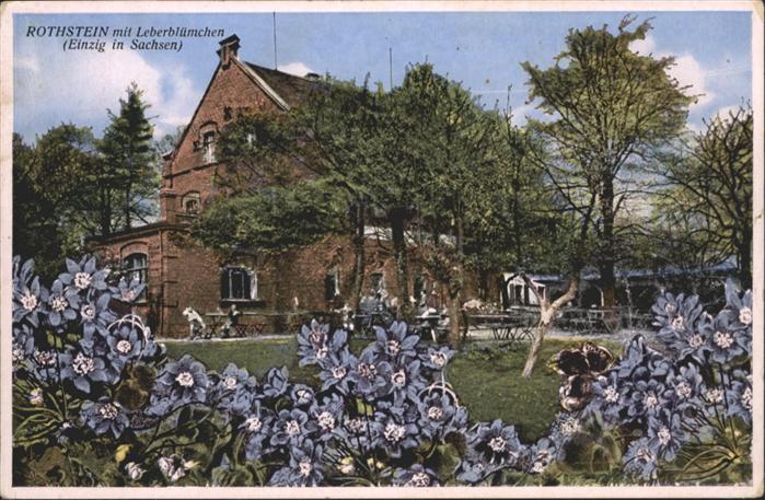 Reichenbach Oberlausitz Rothstein Leberblümchen