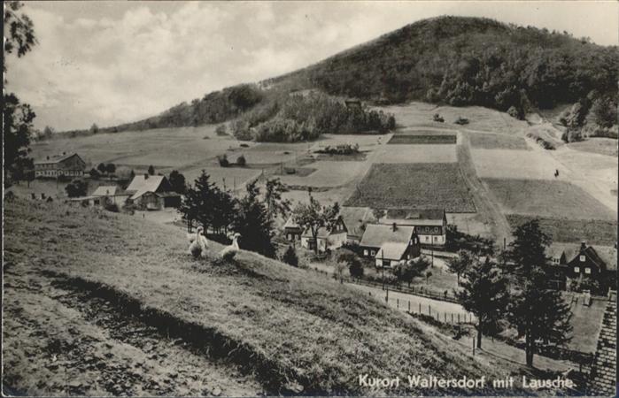 Waltersdorf Zittau Lausche Gans