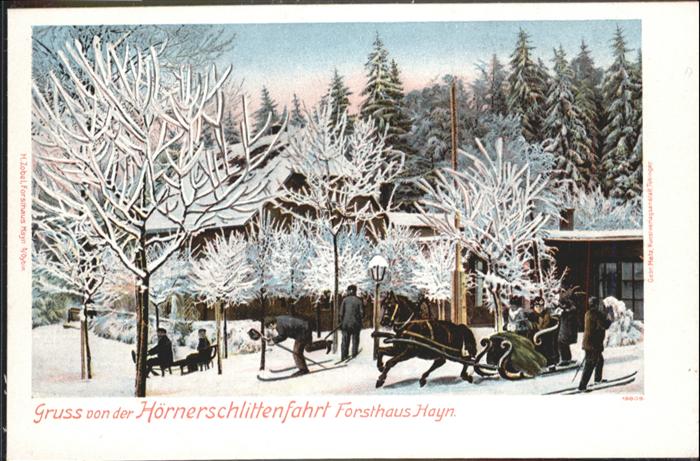 Oybin Forsthaus Hain Schlitten Pferd