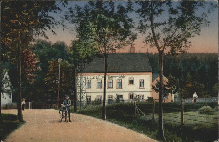 Pleissa Gasthaus Tannmühle
