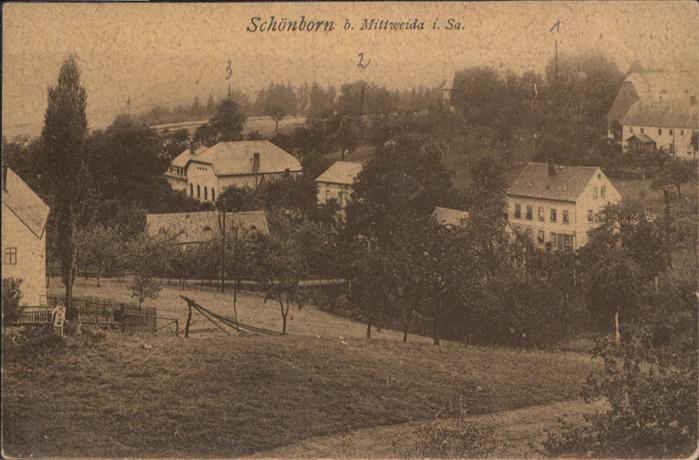 Schoenborn Mittweida