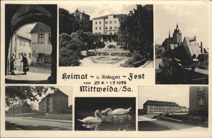 Mittweida Schwan Springbrunnen