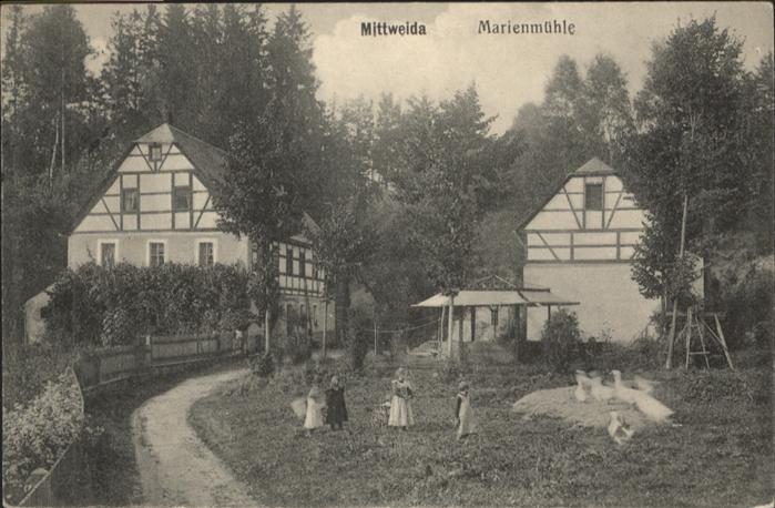 Mittweida Marienmühle Gans