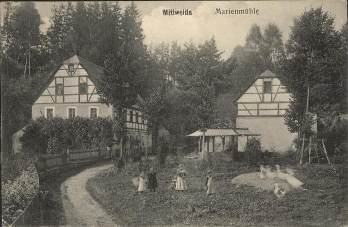 Mittweida Marienmühle Gans