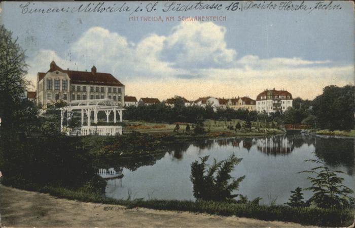 Mittweida Schwanenteich