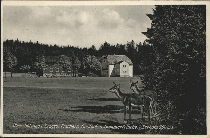Rechenberg-Bienenmuehle ber Holzhau Fischers Gasthof Reh