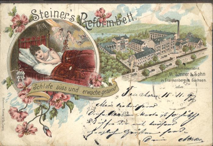 Frankenberg Sachsen Steiners Reformbett