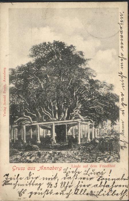 Annaberg-Buchholz Erzgebirge Annaberg-Buchholz Linde Friedhof