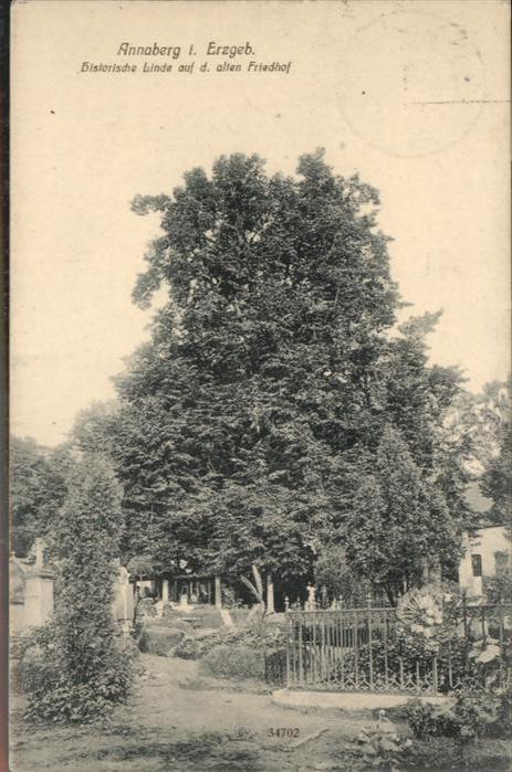 Annaberg-Buchholz Erzgebirge Annaberg-Buchholz Linde Friedhof