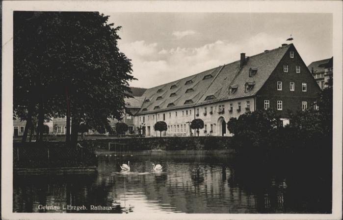 Gelenau Erzgebirge Gelenau Rathaus Schwan Teich