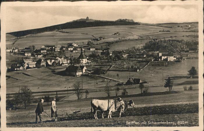 Seiffen Erzgebirge Seiffen Kühe