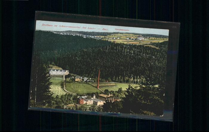 Lauter Schwarzenberg Erzgebirge Lauter_Sachsen Brethaus Schwarzwasserta