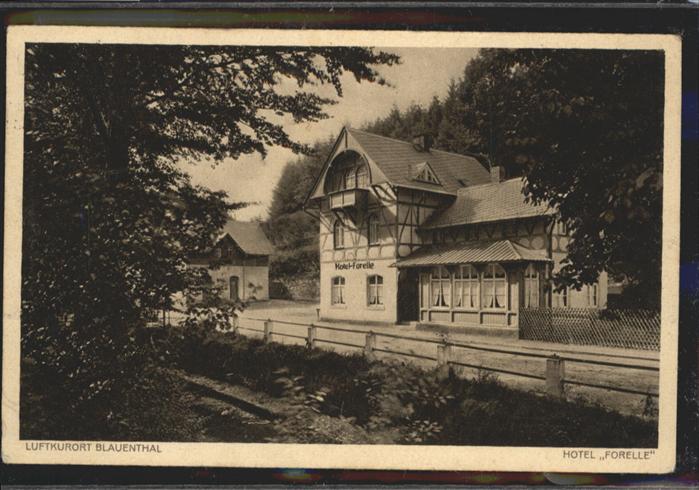 Blauenthal Erzgebirge Hotel Forelle Eibenstock