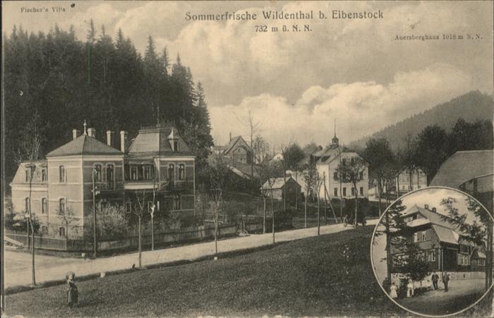 Wildenthal Eibenstock Auersberghaus Erzgebirge Fischers Villa