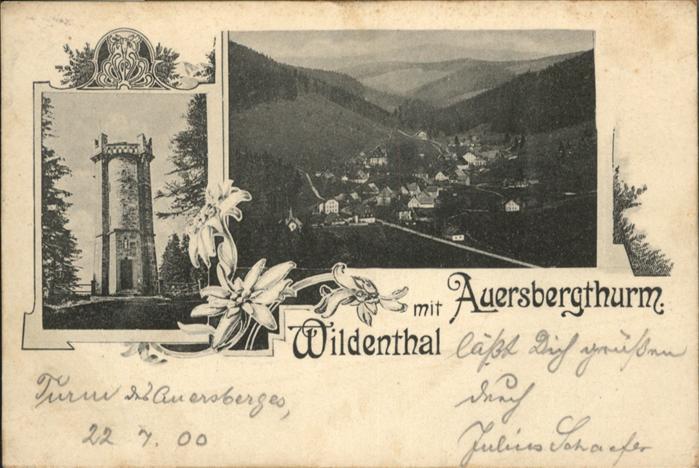 Wildenthal Eibenstock Auersbergthurm